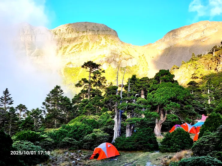 有什麼比睡在圓柏樹下更夢幻的呢?!(照片為隊友提供)