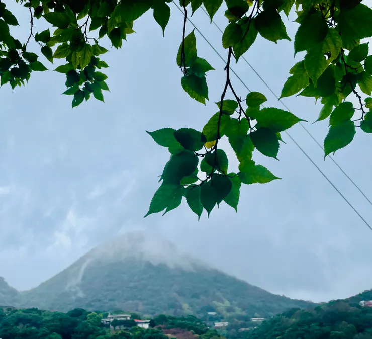 紗帽山頭圓圓的好可愛