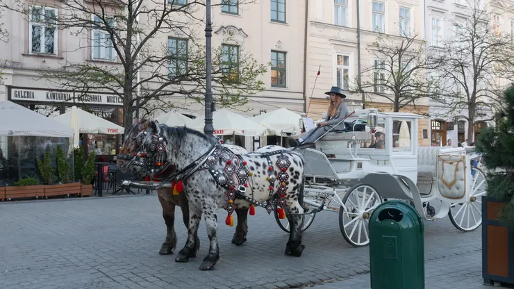 老城區有馬車可以搭