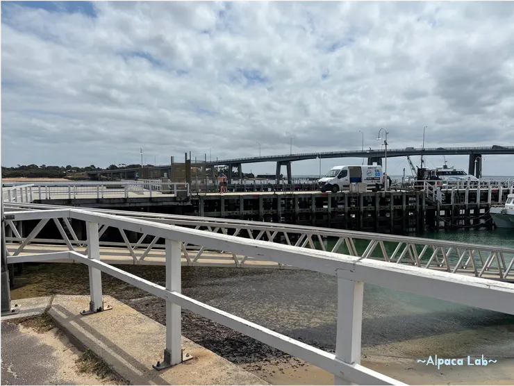 附上帥氣大叔的背影照,澳洲人的熱心真的很感動