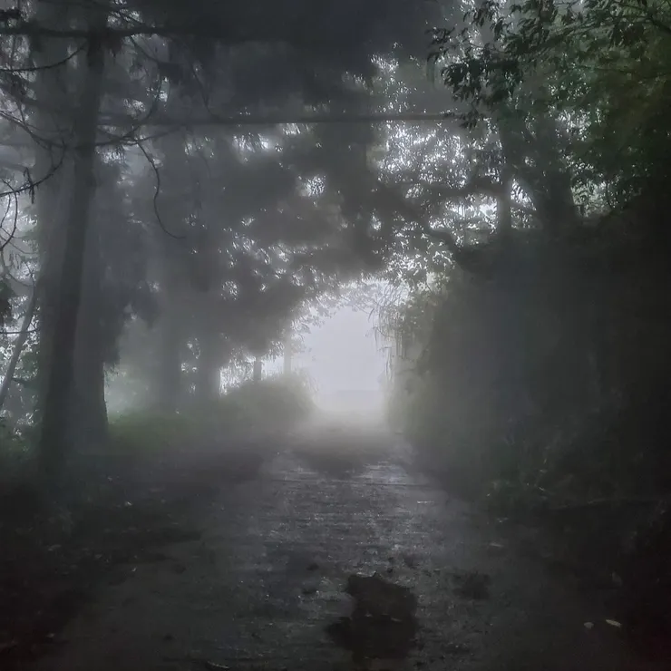 從早上的晴空萬里走到濃霧四起