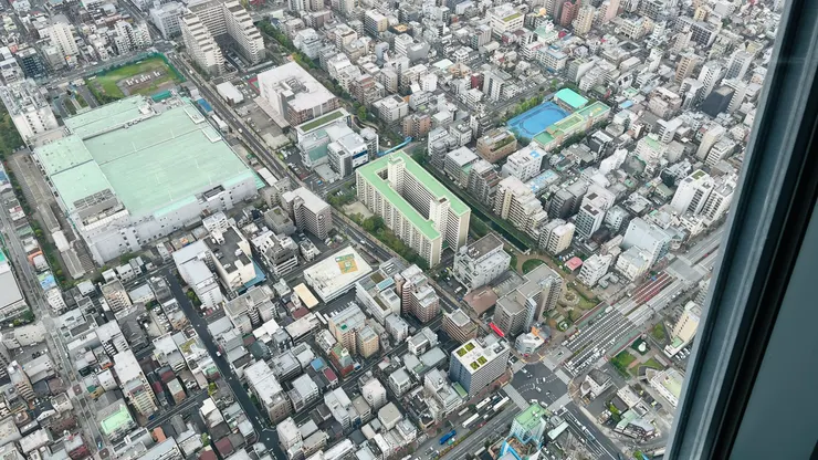 萬物都被縮小了。