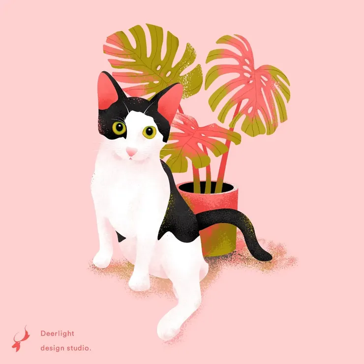 Design by Jhane Chou｜將寵物置入於創作中