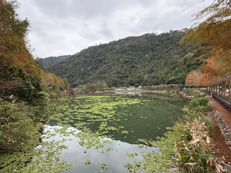 2026/01/10 風景照