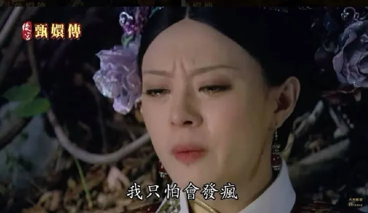 臣妾就是用不得這麼複雜的東西呀～圖片取自後宮甄嬛傳。