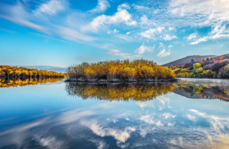 圖片取自網路加以裁剪而成,侵權刪。