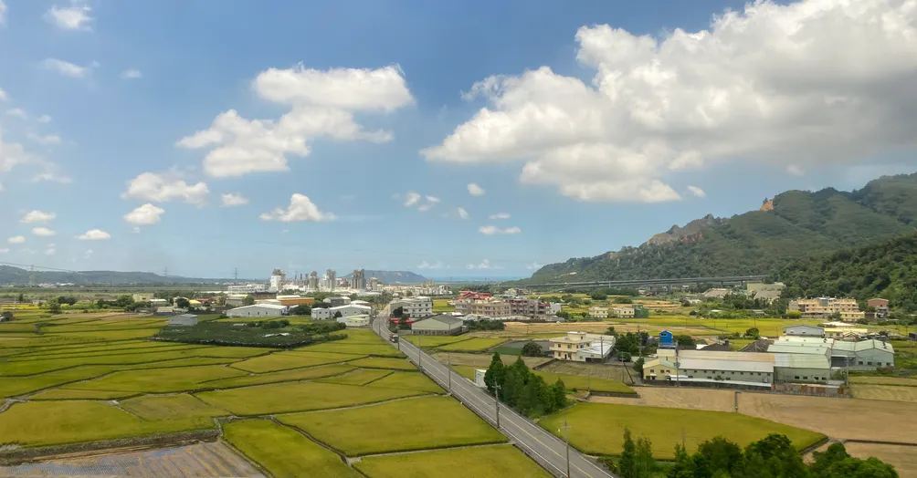 狐思亂想的沙龍