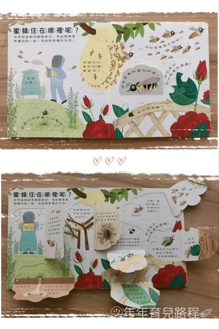 為什麼我們需要蜜蜂(Why Do We Need Bees)