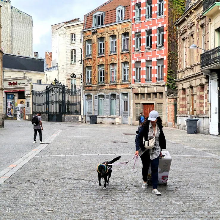【三人一狗拖著行李走15分鐘到法蘭德斯車站(Gare de Lille Flandres)】