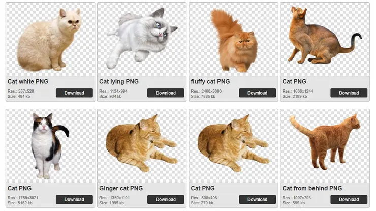 網站上的圖片格式預覽