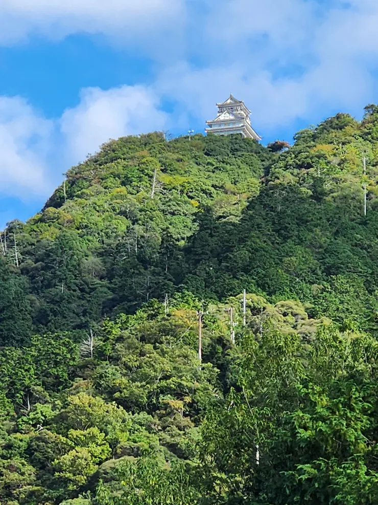 從川原町舊街看向歧阜城