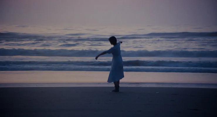 蛾之光 Light of a Burning Moth, 2020