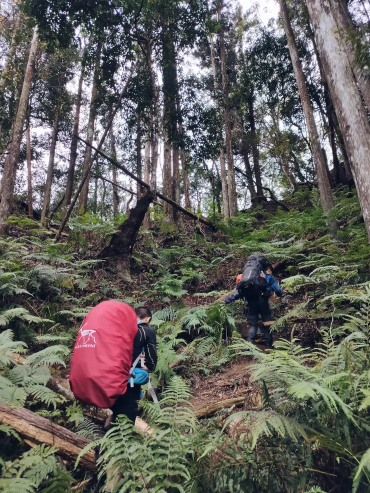 上切白雪村稜線的陡峭山徑。