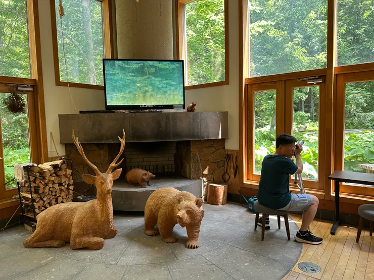 有高倍率的望遠鏡可以賞鳥(但我都找不到😁)