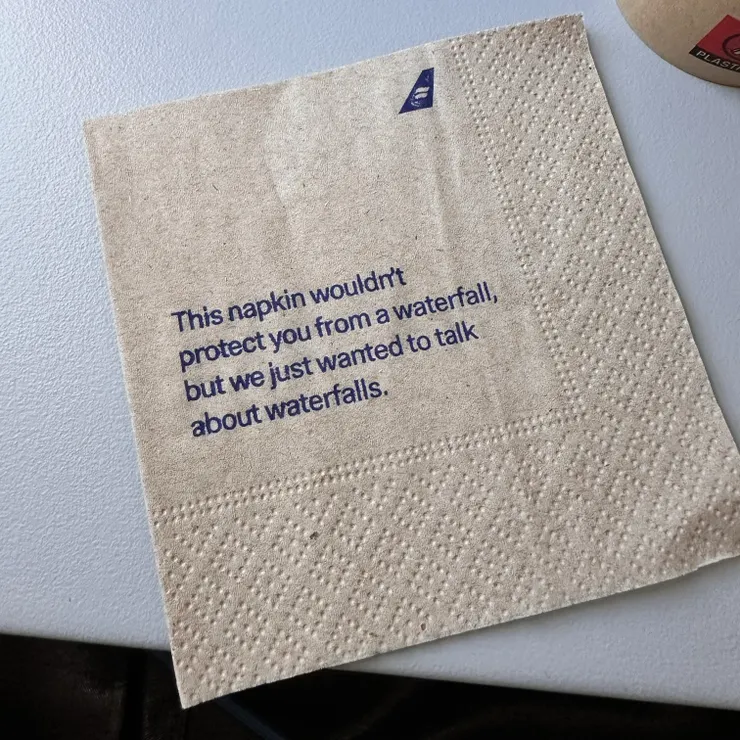 就是一般傳統航空乏善可陳，但是紙巾上印有幹話，變成本篇亮點。