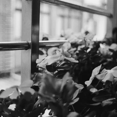 煙燻瓶子的沙龍