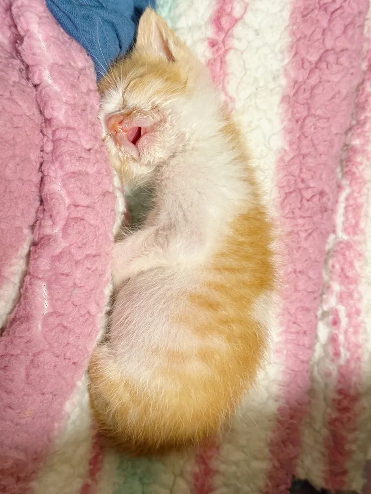 半年前的花生幼幼(>^ω^<)