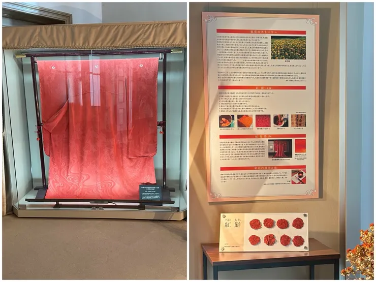 紅花可以製成染料，是過去重要的紅色染料來源