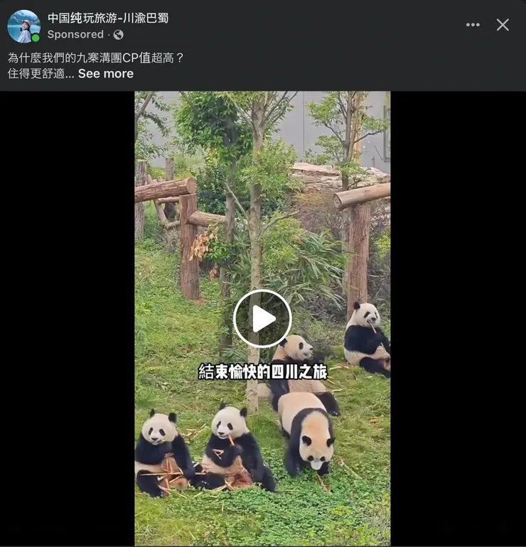 四川旅遊的優勢：熊貓影片