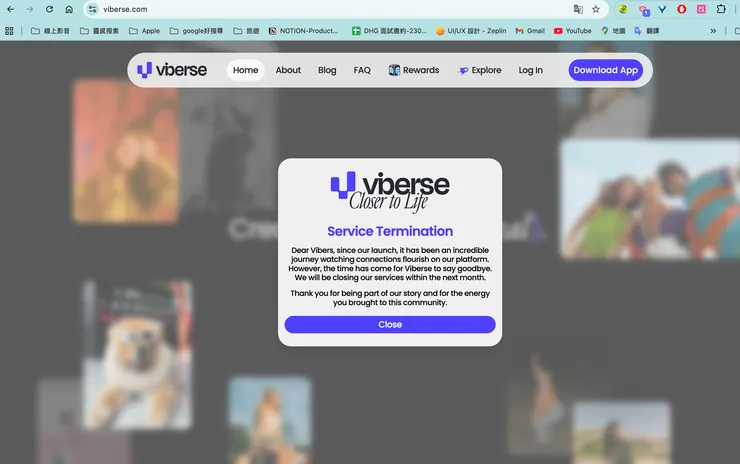 截圖於Viberse官網