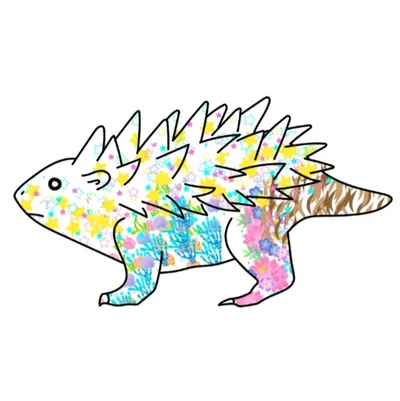 璃Lyz｜找個地方放腦袋