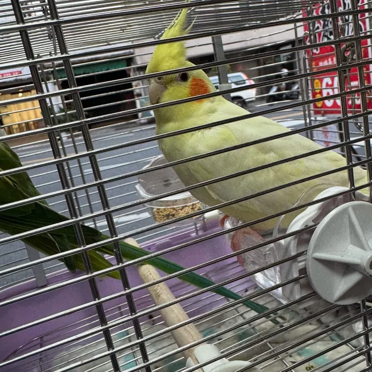 三個小朋友出遊