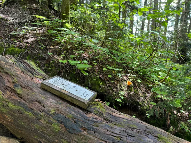 這裡有人畫上2.5的數字。越算越多，到底是還有幾公里啦！