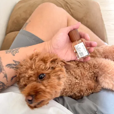 今日 🐶狗店長監工日。