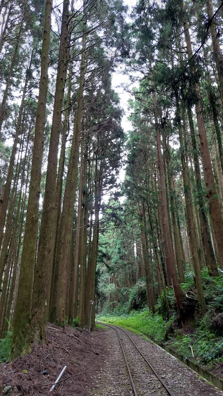 二萬坪車站軌道