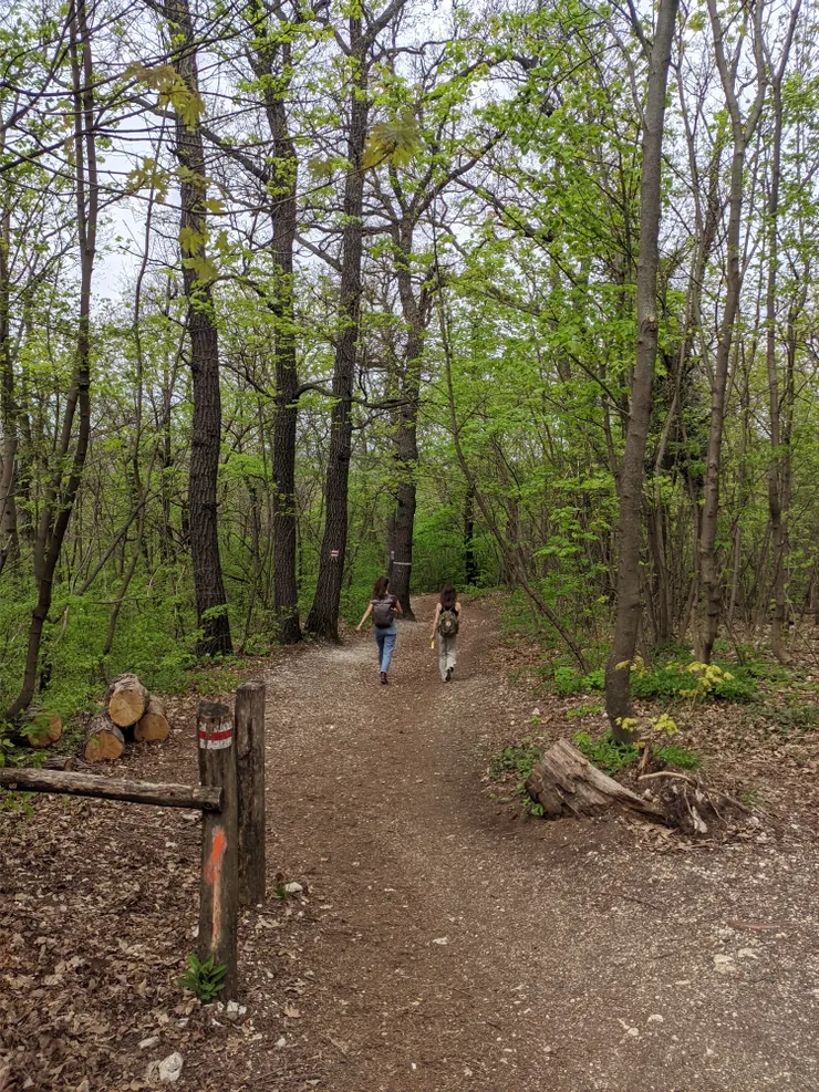 這兩個外國女生走超快