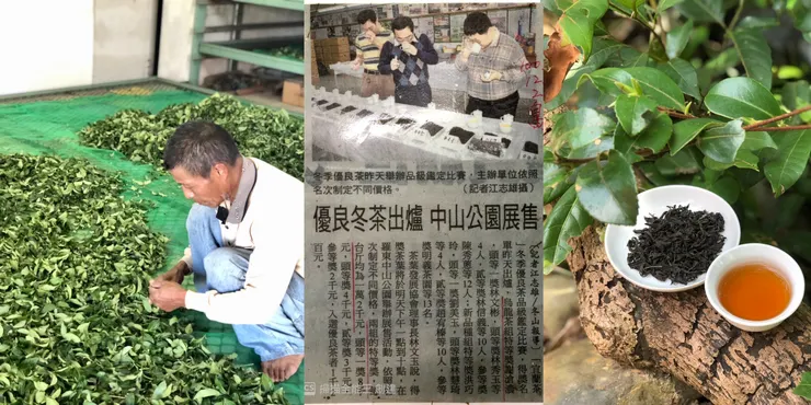 製茶師 : 謝滄濃 先生 