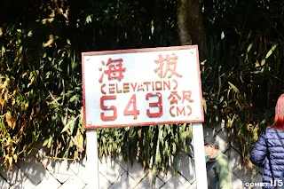 樟腦寮車站的海拔