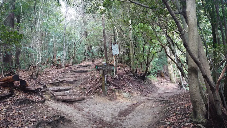 回首再看看這個岔路口