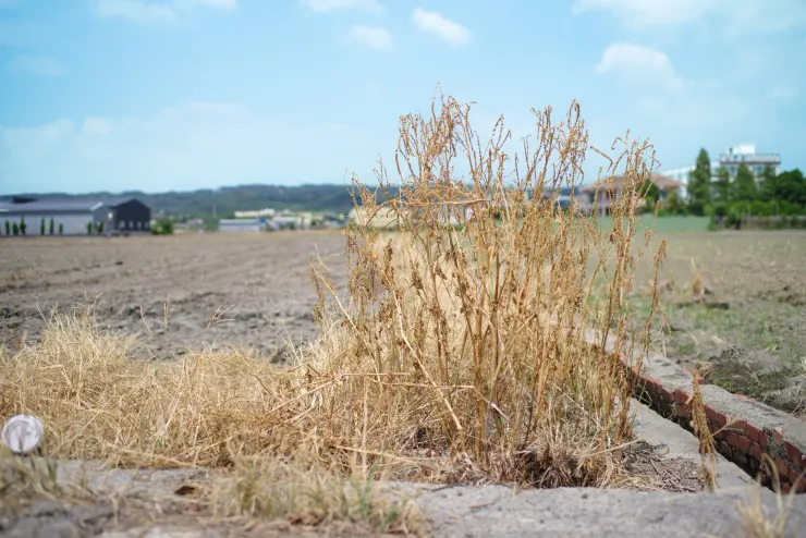 照片由李彥澍提供