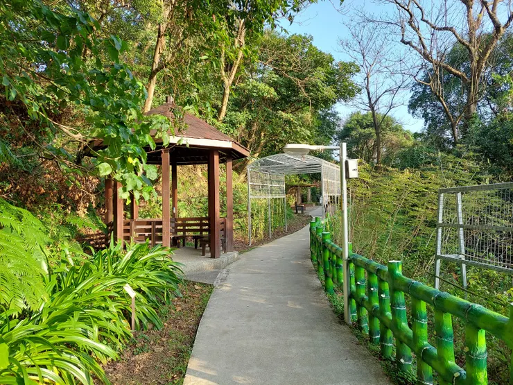 鋪過面平整化的孫龍步道