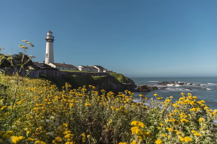 圖片來源：pixabay