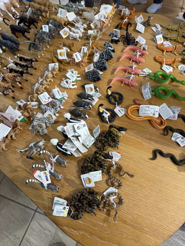 2026/02/17 動物園的精品小物