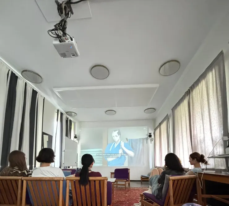 Netflix 大奧影集