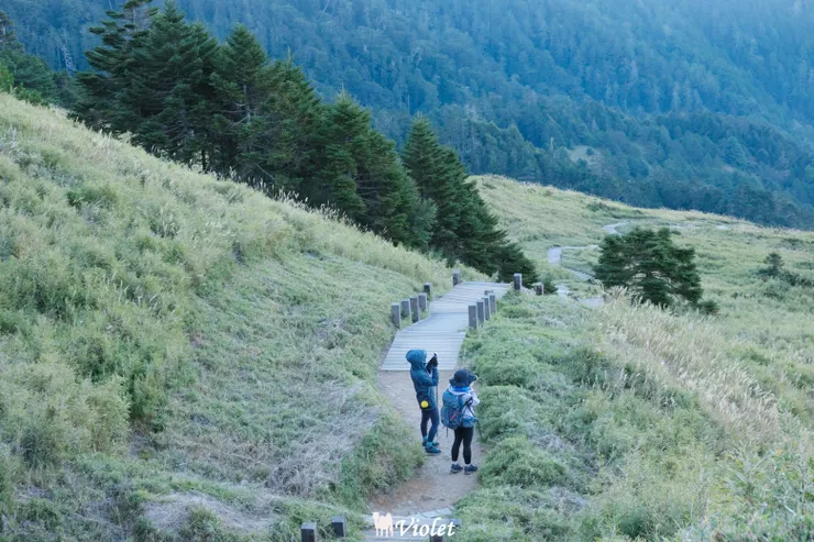 合歡山東峰步道