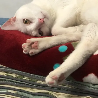 羽絨的人生修練紀錄