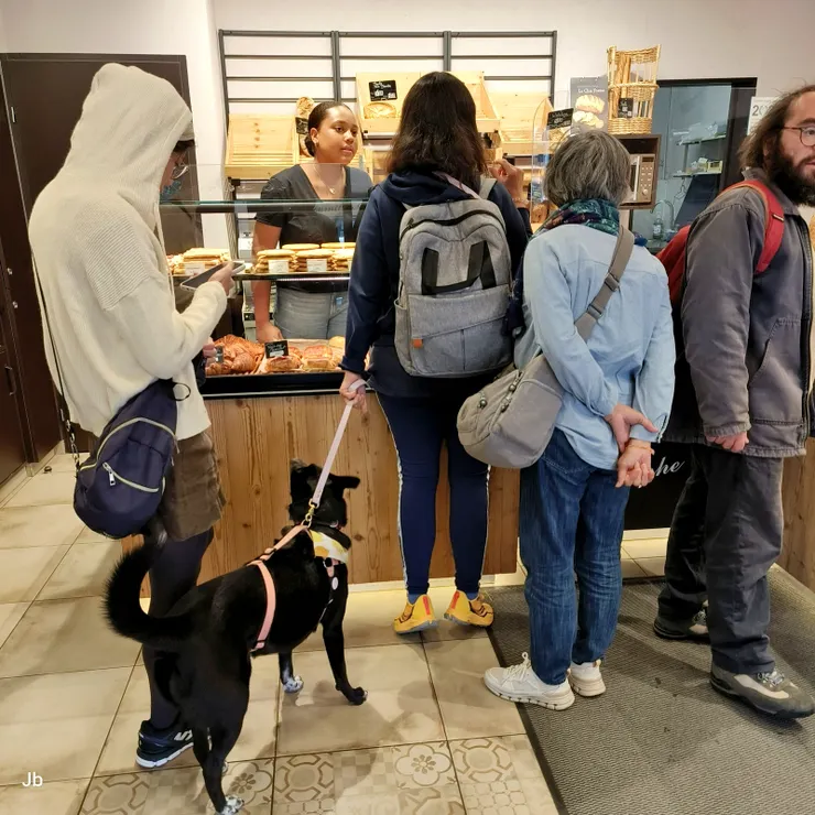 【糕點麵包控剛吃飽又買法國棒！閒晃看到烘焙店又忍不住走進去。】