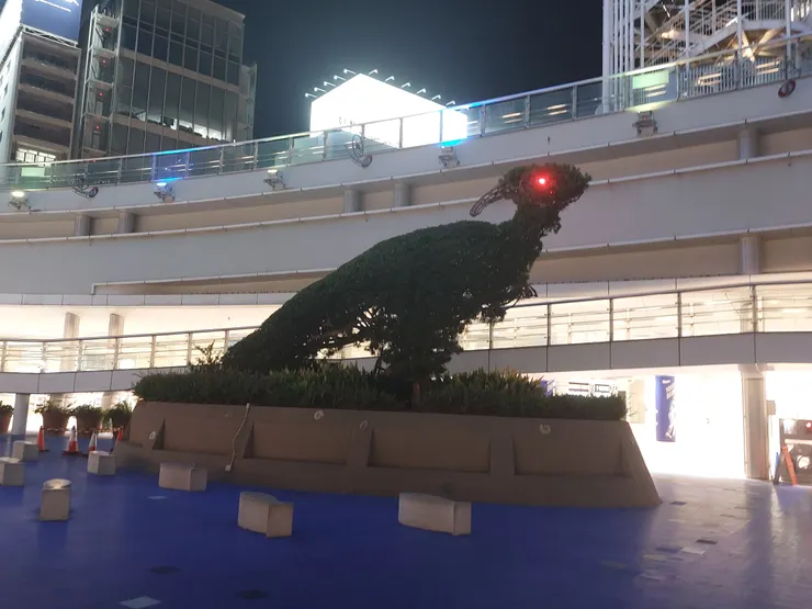 近拍一張副櫛龍～