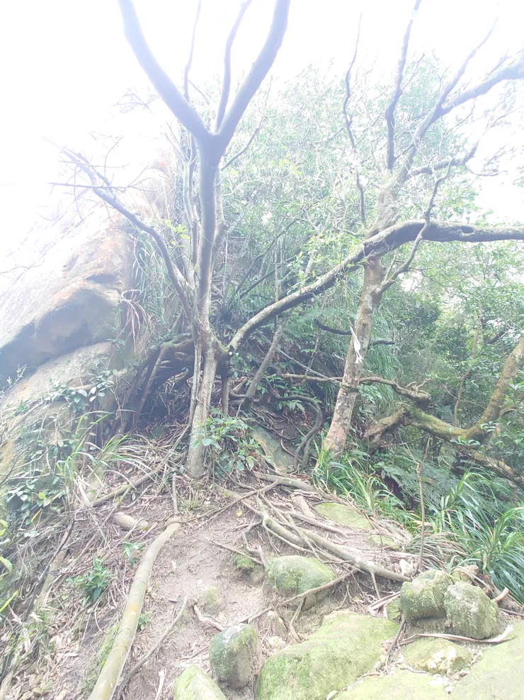 這個陡升峭壁是整條路線唯一拉繩斗上