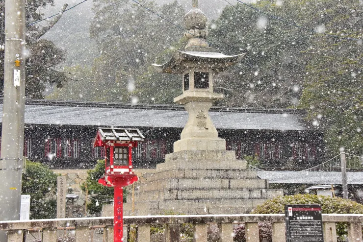 神社內的安政大燈籠,也被稱為東洋第一大石燈籠