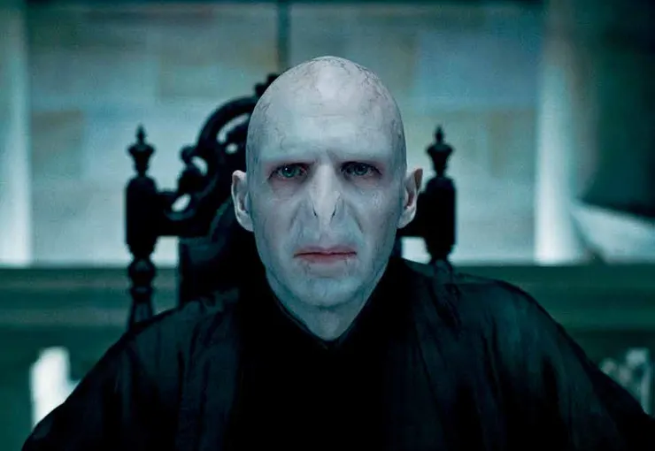 邪惡的巫師佛地魔是哈利波特的敵人，他有著骨瘦如柴的外表、發紅的雙眼、與蛇神似的鼻子、一口爛牙和蒼白的光頭。