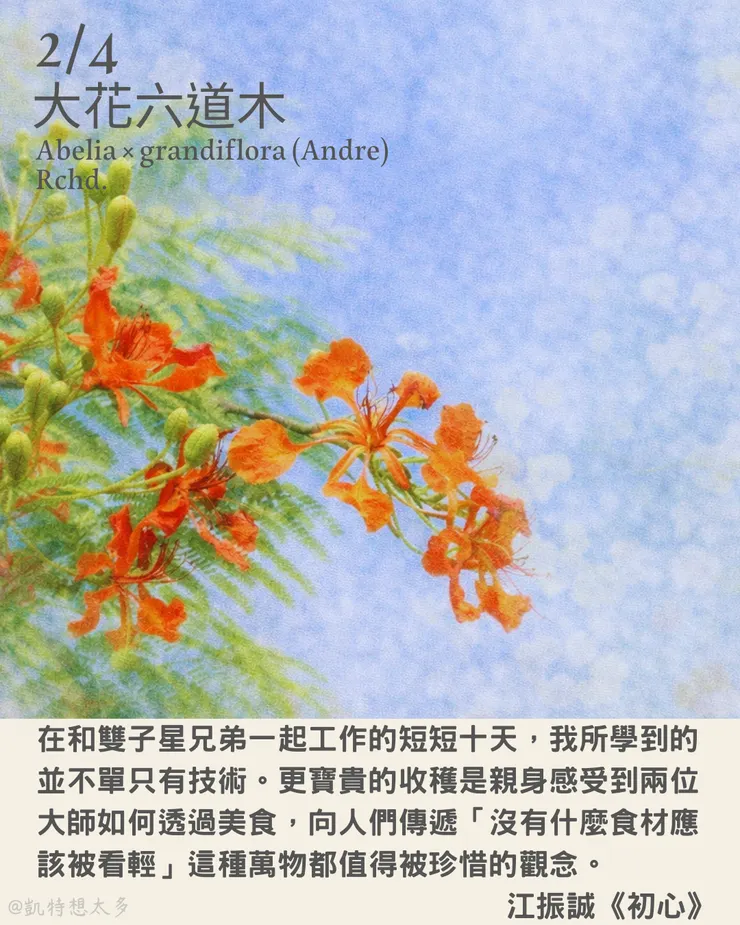 《一日一花・一句》｜2 月 4 日｜大花六道木×江振誠《初心》