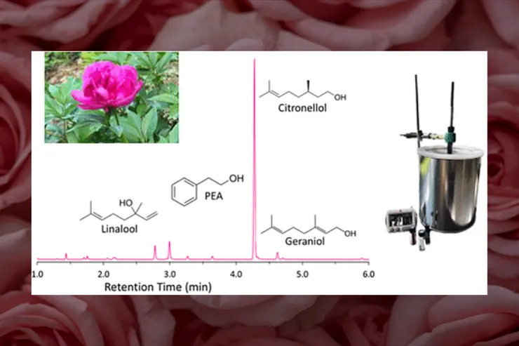 Determination of Rose Alcohol Composition in Extracts and Flowers via Headspace Solid-Phase Microextraction and GC-MS