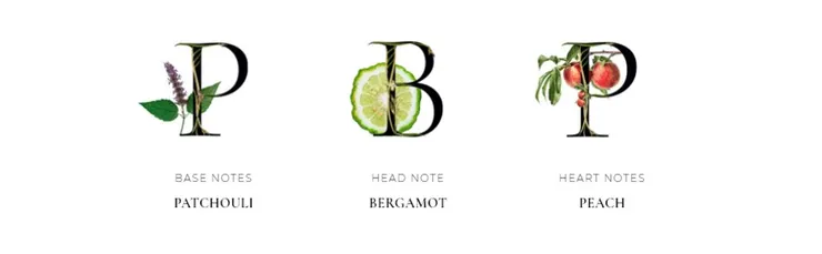 廣藿之匣的重點香材