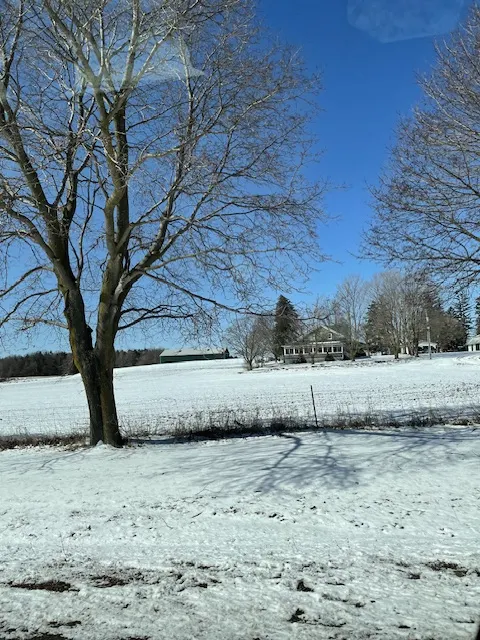 加拿大的春天總是珊珊來遲,今年也不例外。(三月廿三日,攝於冰雪未融的田野旁邊。)
