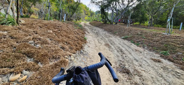 自從開始瓜佛後，看到路就想下去騎騎看。